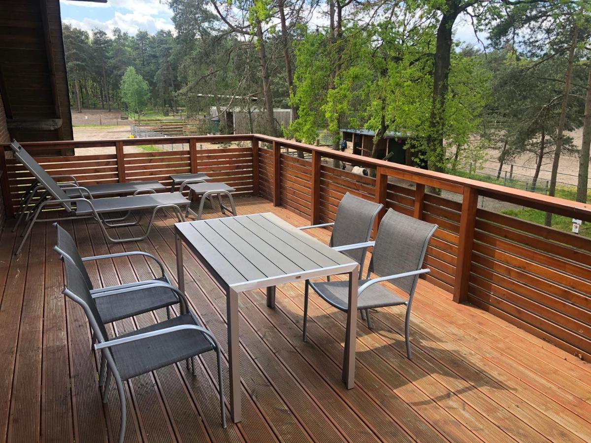 Bernsteinsee Ferienwohnungen Und Apartments Sassenburg エクステリア 写真
